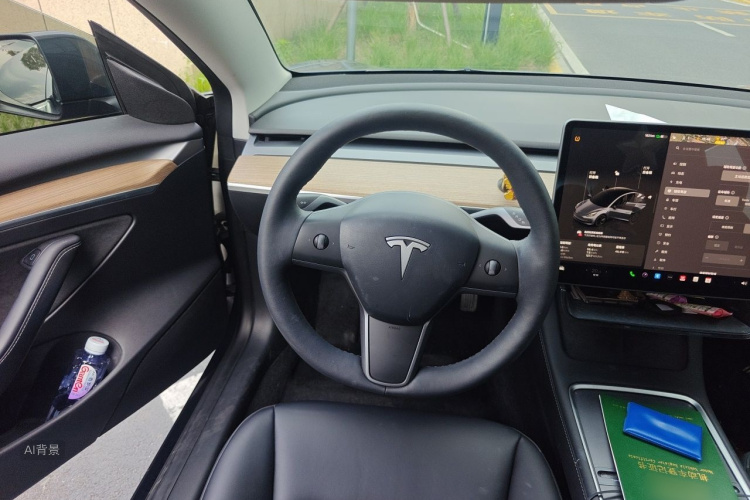 Tesla Model 3 2023 car image #12