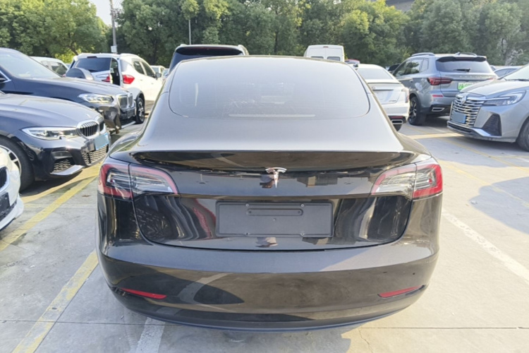 Tesla Model 3 2023 #6 Tesla Model 3 2023 car image #6