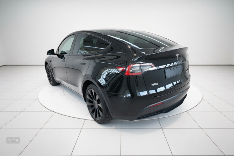 Tesla Model Y 2021 car image #5