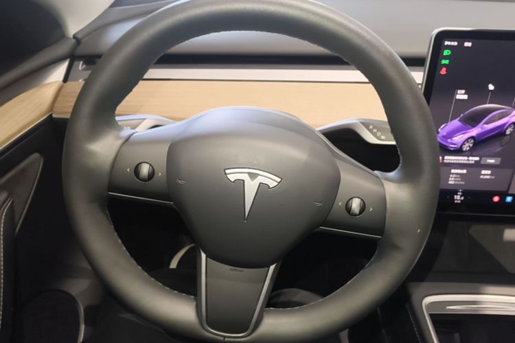 Tesla Model Y 2023 car image #11