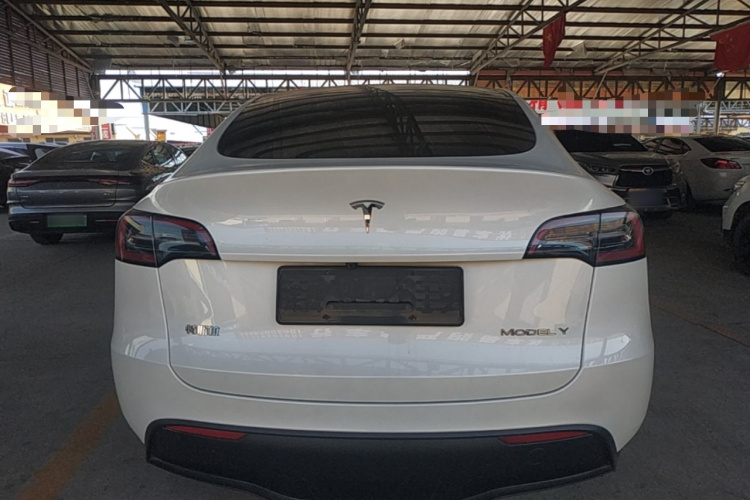 Tesla Model Y 2024 #6 Tesla Model Y 2024 car image #6