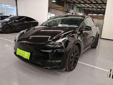 Tesla Model Y 2021 Tesla Model Y 2021 car image