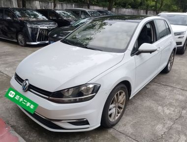 Volkswagen Golf 2019 car image 