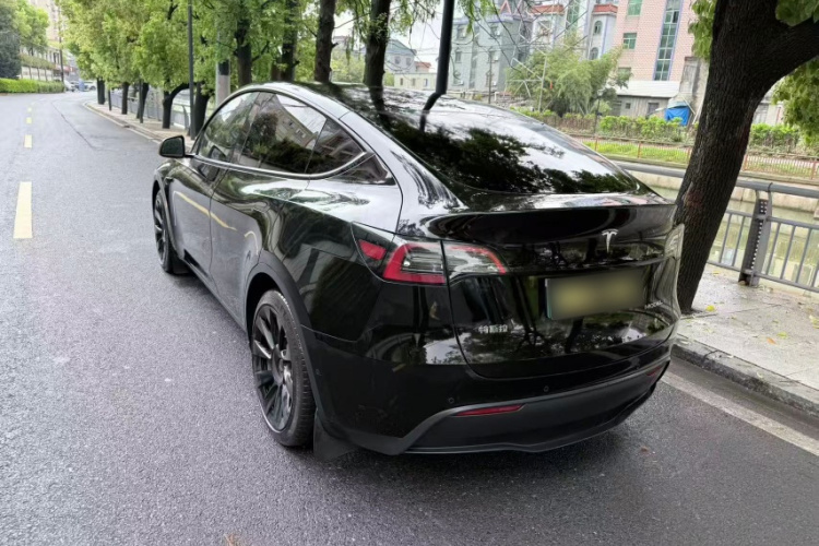 Tesla Model Y 2022 #3 Tesla Model Y 2022 car image #3