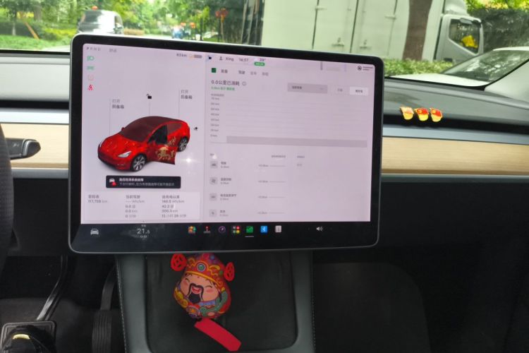 Tesla Model Y 2021 #13 Tesla Model Y 2021 car image #13