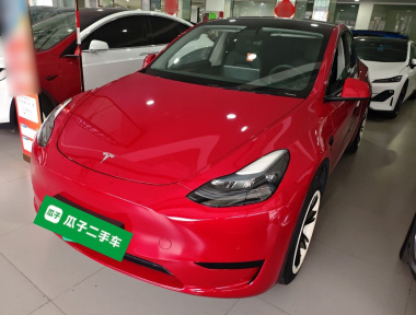 Tesla Model Y 2023 Tesla Model Y 2023 car image