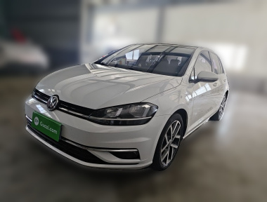 Volkswagen Golf 2019 Volkswagen Golf 2019 car image