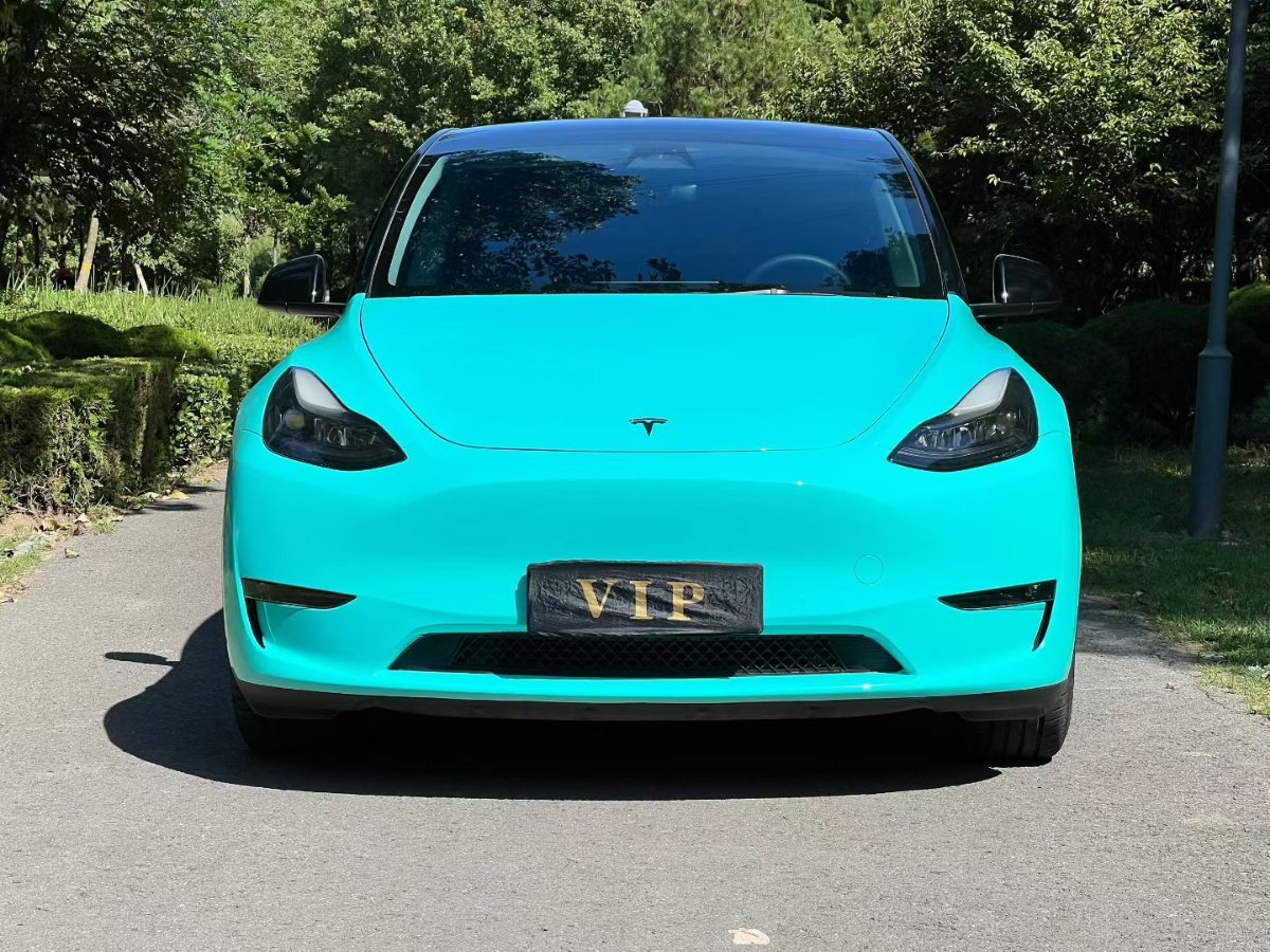 Tesla Model Y 2022 car image #2
