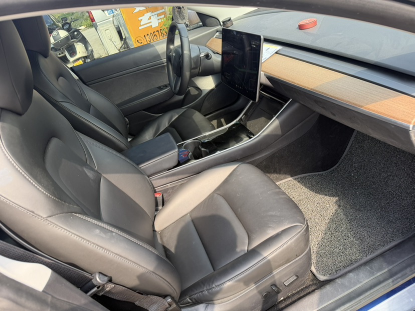 Tesla Model 3 2020 car image #8
