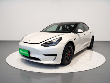 Tesla Model 3 2022 car image 