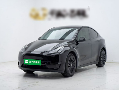 Tesla Model Y 2021 car image 