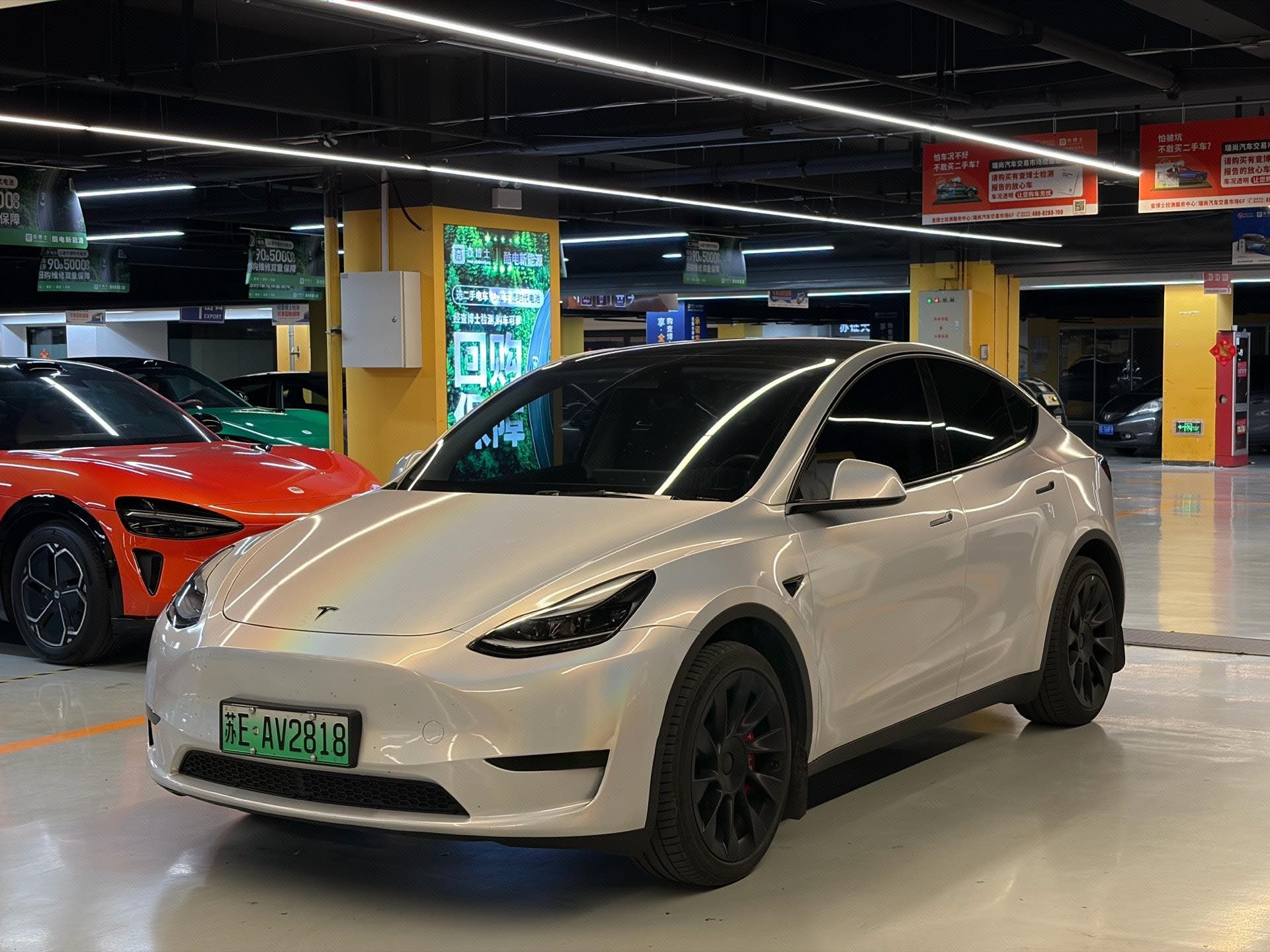 Tesla Model Y 2023 car image 