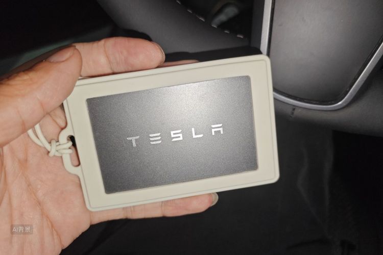 Tesla Model Y 2022 #10 Tesla Model Y 2022 car image #10