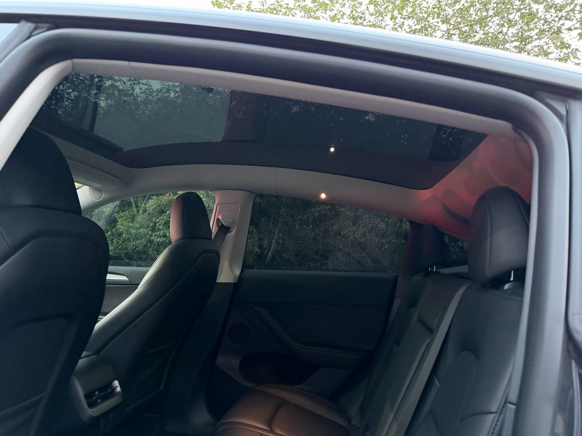 Tesla Model Y 2024 #7 Tesla Model Y 2024 car image #7