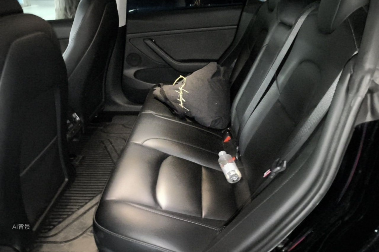 Tesla Model 3 2023 car image #19