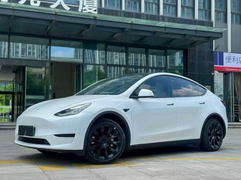 Tesla Model Y 2023 Tesla Model Y 2023 car image