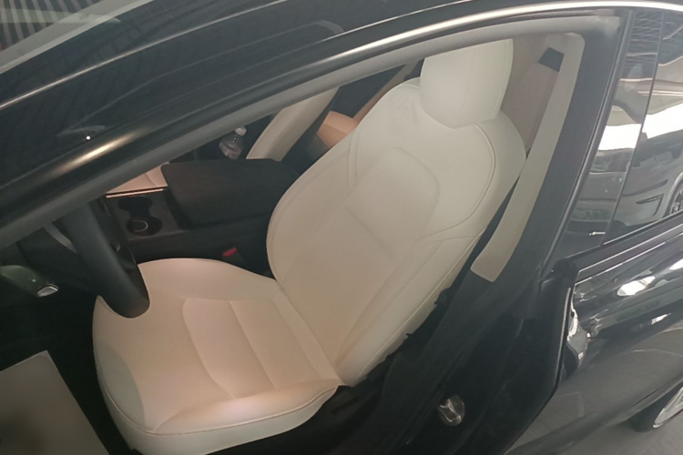 Tesla Model 3 2021 #15 Tesla Model 3 2021 car image #15