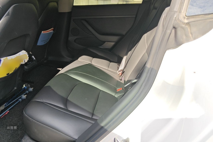 Tesla Model 3 2021 car image #19