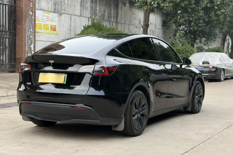 Tesla Model Y 2023 #6 Tesla Model Y 2023 car image #6