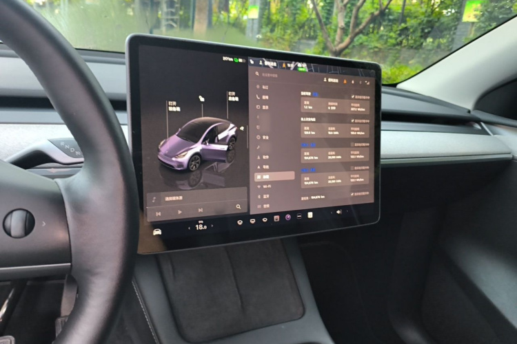 Tesla Model Y 2024 car image #17