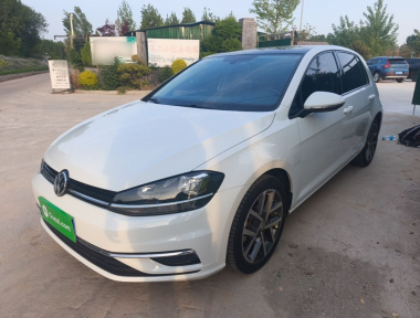 Volkswagen Golf 2020 Volkswagen Golf 2020 car image