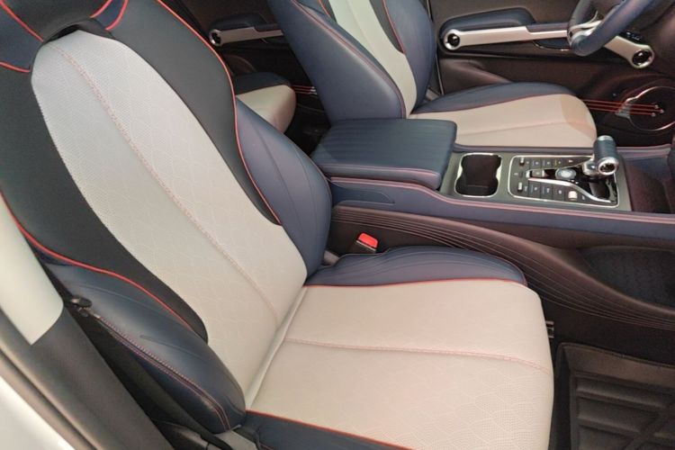 BYD Yuan Plus 2022 car image #24