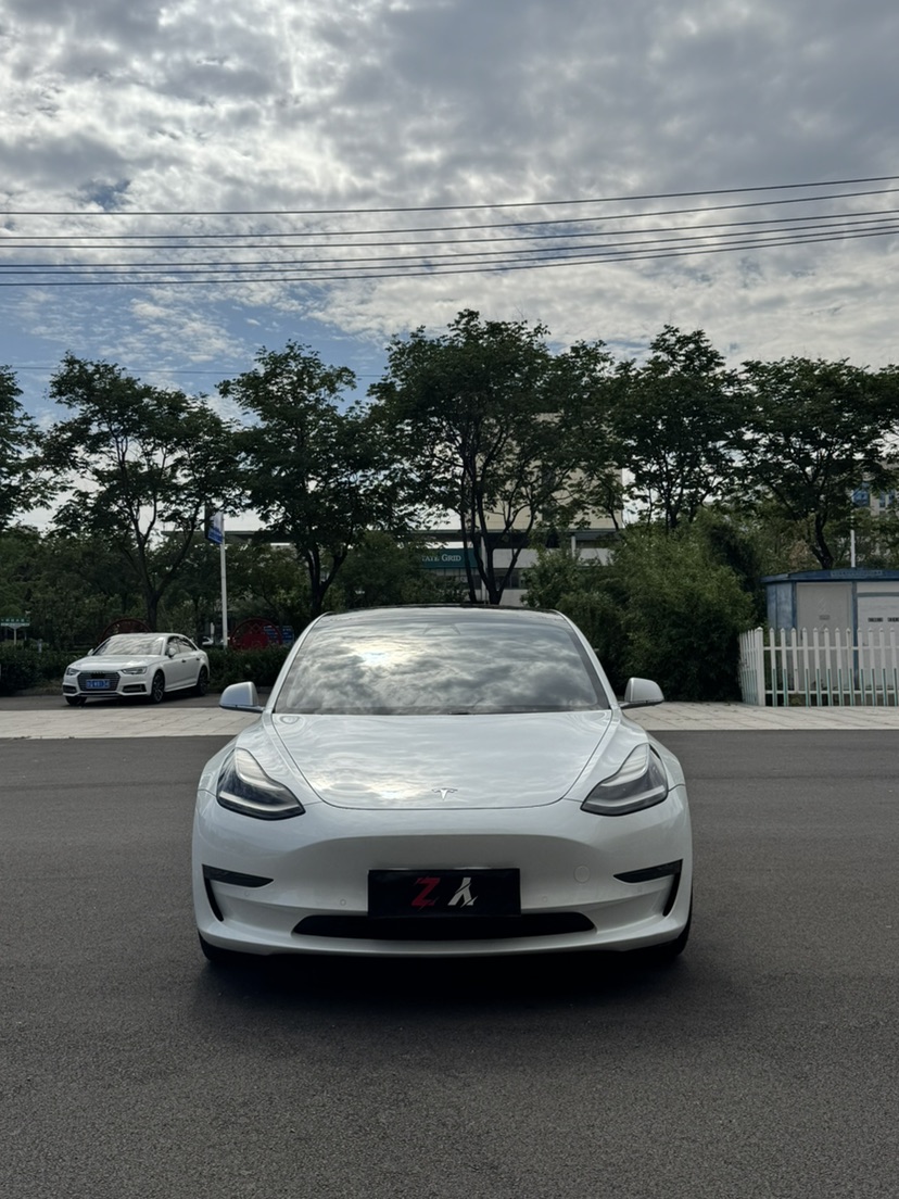 Tesla Model 3 2020 #3 Tesla Model 3 2020 car image #3