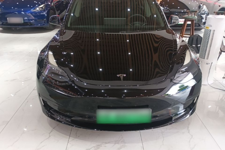 Tesla Model 3 2021 #3 Tesla Model 3 2021 car image #3