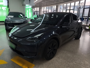 Tesla Model Y 2024 Tesla Model Y 2024 car image
