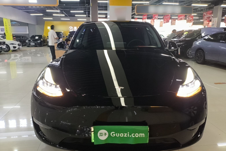 Tesla Model Y 2021 car image #3