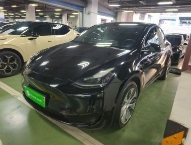 Tesla Model Y 2022 car image 
