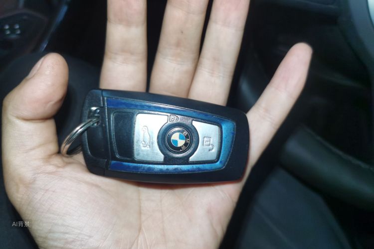 BMW 3 Series 2018 car image #10