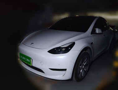 Tesla Model Y 2023 Tesla Model Y 2023 car image