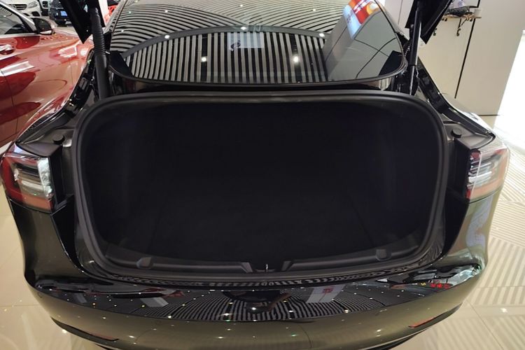 Tesla Model 3 2021 #19 Tesla Model 3 2021 car image #19