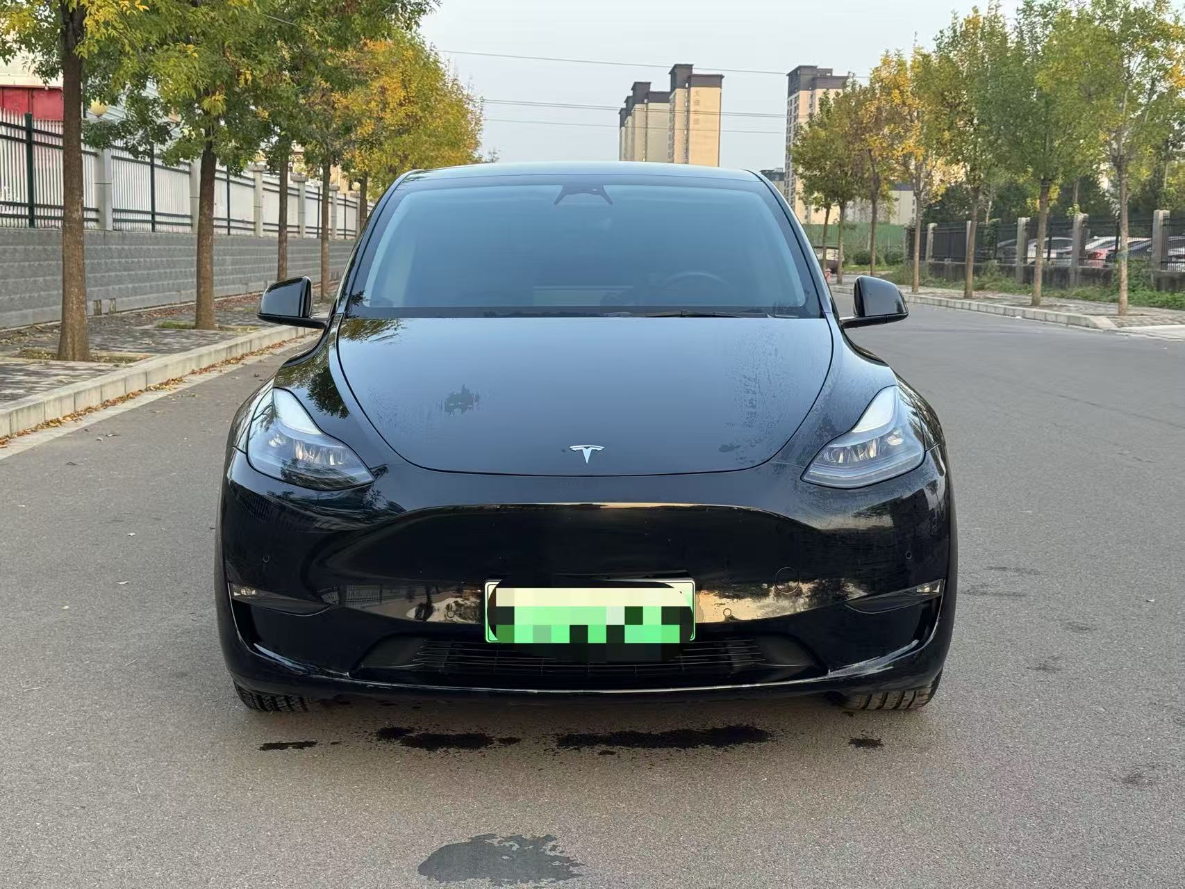Tesla Model Y 2021 car image #4