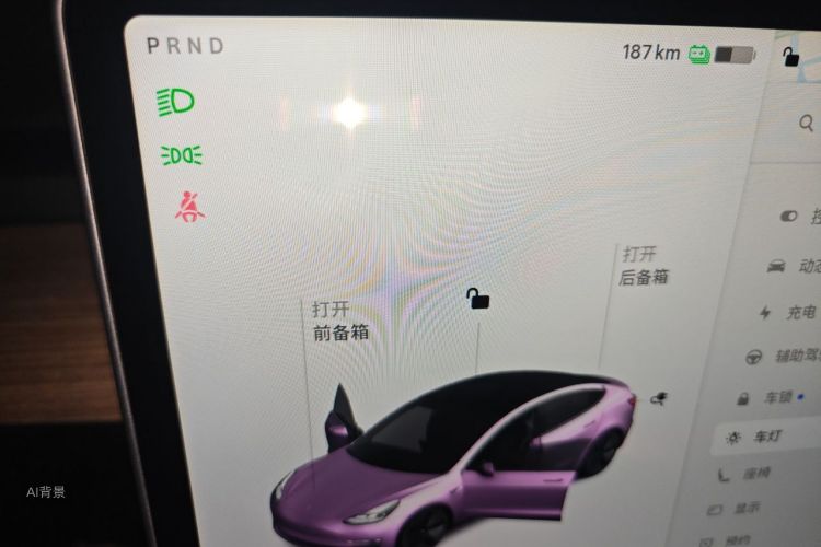 Tesla Model 3 2021 car image #13