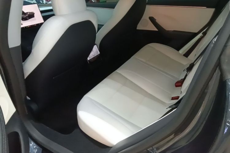 Tesla Model 3 2025 #17 Tesla Model 3 2025 car image #17