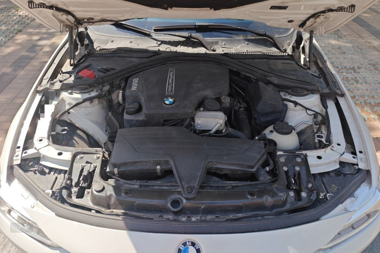 BMW 3 Series 2016 #22 BMW 3 Series 2016 immagine di auto #22