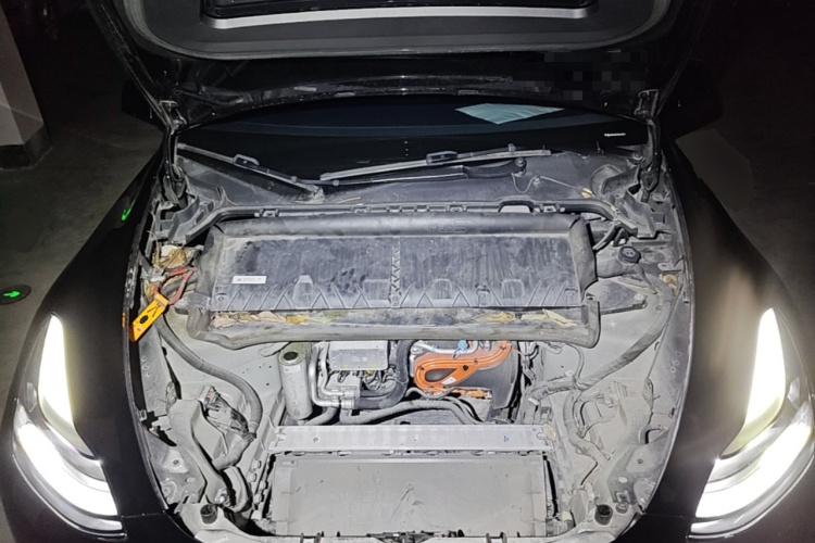 Tesla Model Y 2022 immagine di auto #20