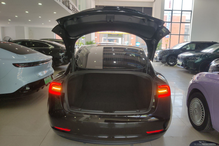 Tesla Model 3 2022 #19 Tesla Model 3 2022 immagine di auto #19