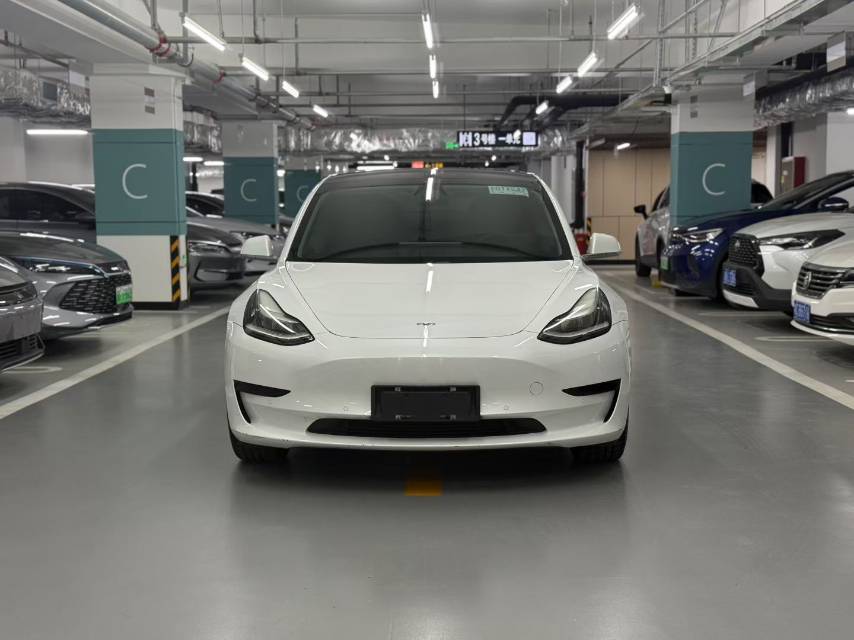 Tesla Model 3 2020 Tesla Model 3 2020 car image