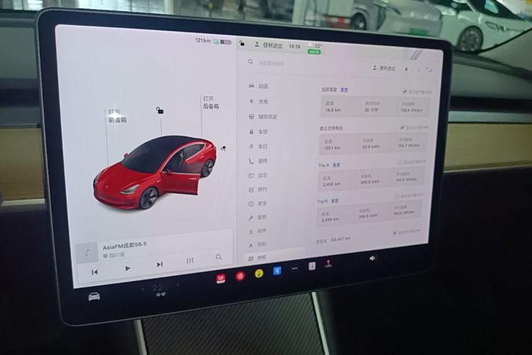 Tesla Model 3 2020 car image #13