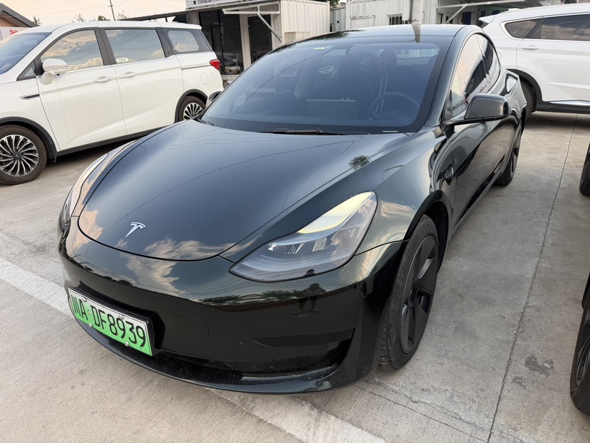 Tesla Model 3 2021 car image 