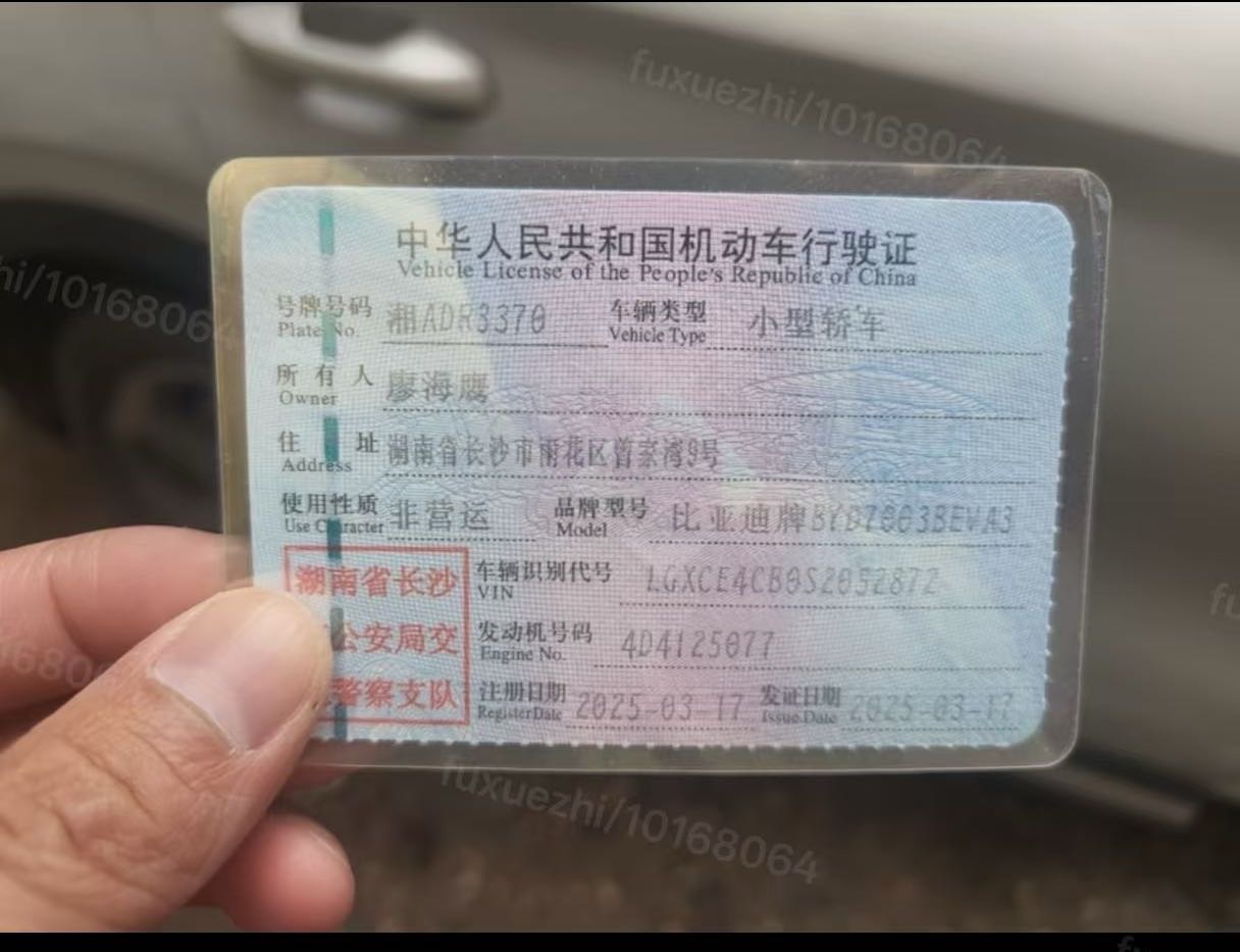 BYD Yuan Plus 2025 immagine di auto #9