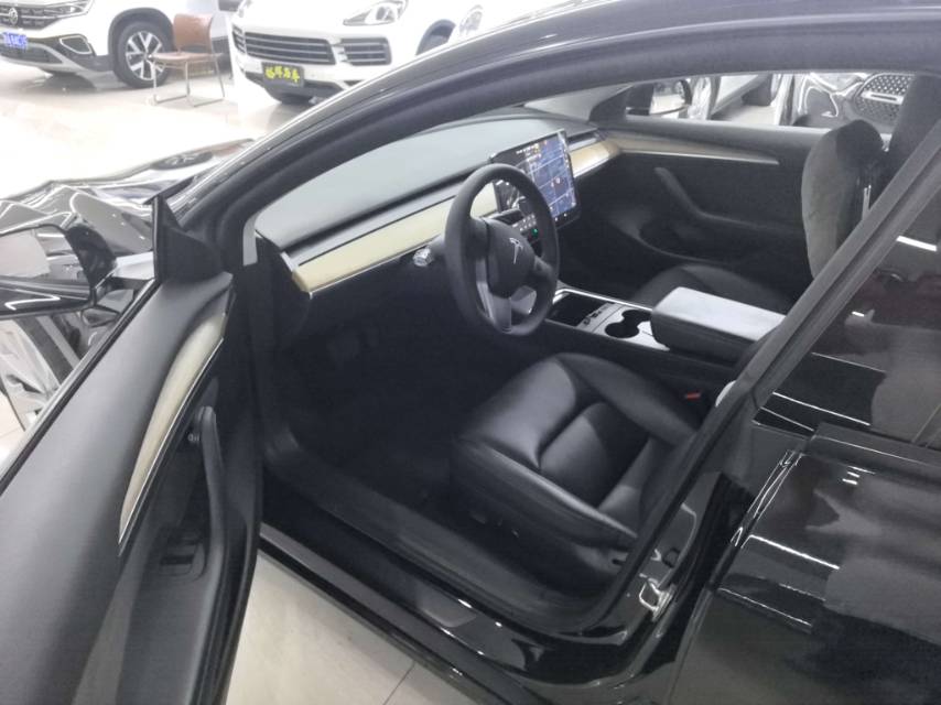 Tesla Model 3 2021 car image #4