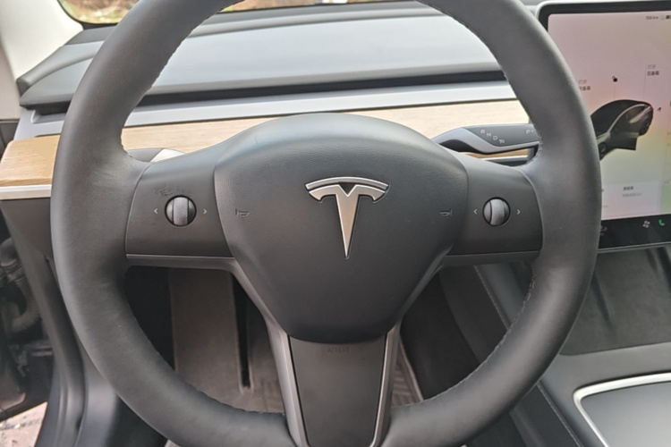 Tesla Model 3 2021 صورة سيارة #11