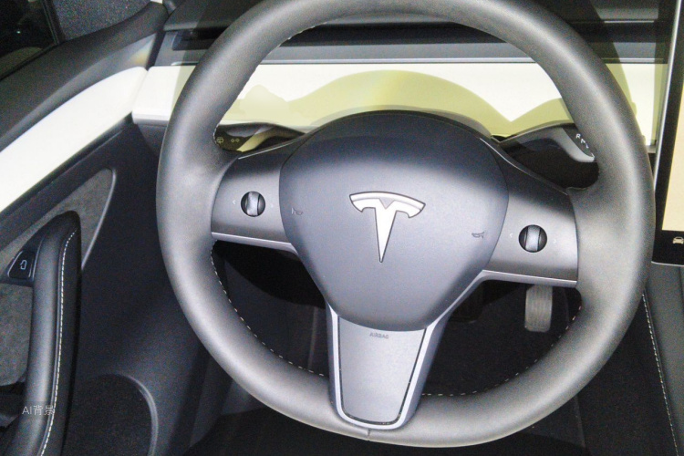 Tesla Model Y 2023 car image #12
