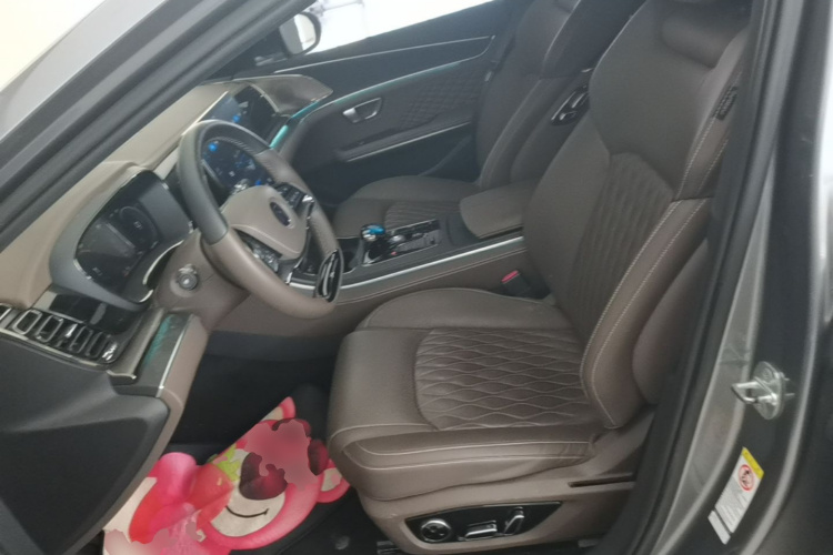 BYD Han 2022 #19 BYD Han 2022 immagine di auto #19