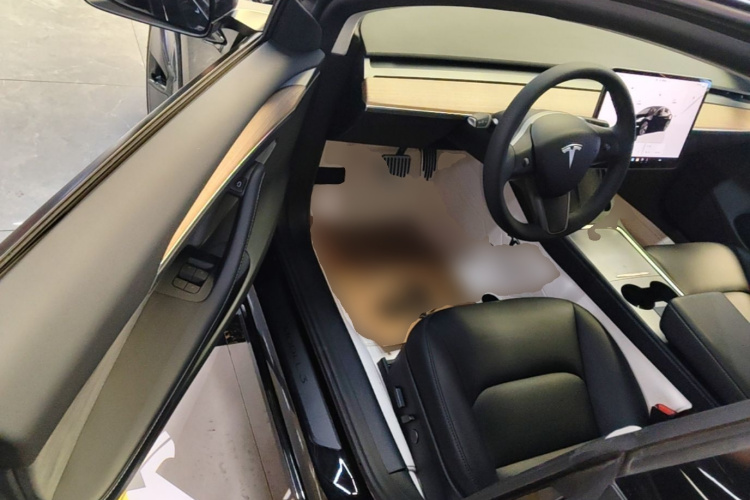 Tesla Model 3 2023 car image #16