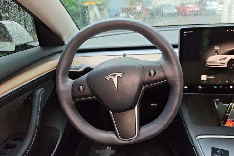 Tesla Model 3 2022 #15 Tesla Model 3 2022 car image #15